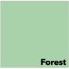 Krāsainais papīrs A4 Image Coloraction Forest / vidēji zaļš, 80 g/m², 500 loksnes