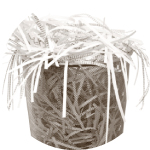 Līdz 20 darbiniekiem